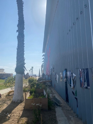 wall with photos on it